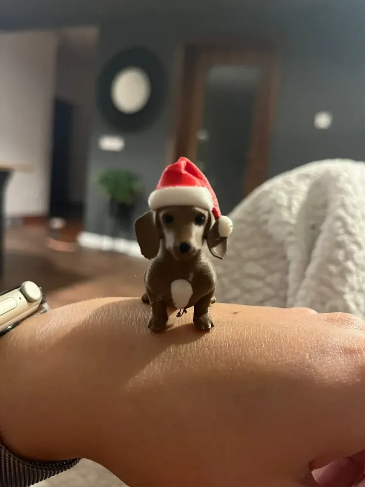 Foto real: Salsicha de Natal